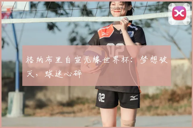 格纳布里自宣无缘世界杯:梦想破灭,球迷心碎