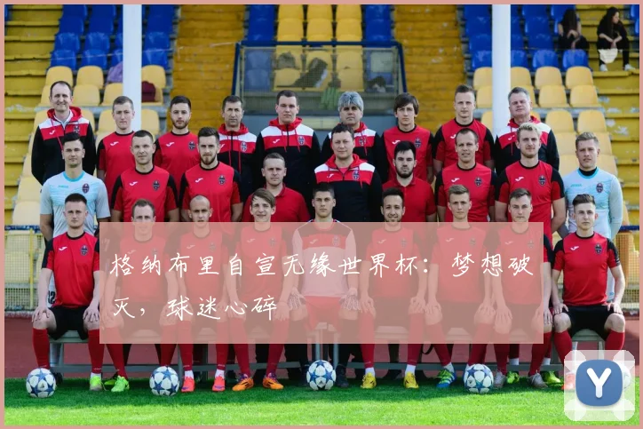 格纳布里自宣无缘世界杯：梦想破灭，球迷心碎